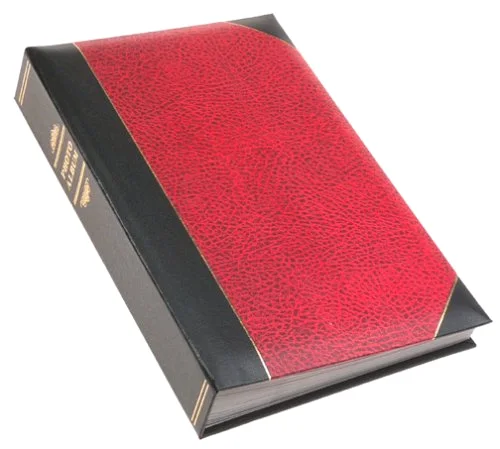 Ledger Bi-Directional Le Memo Album, 4x6, Clear,Gold,Red, 300 prints