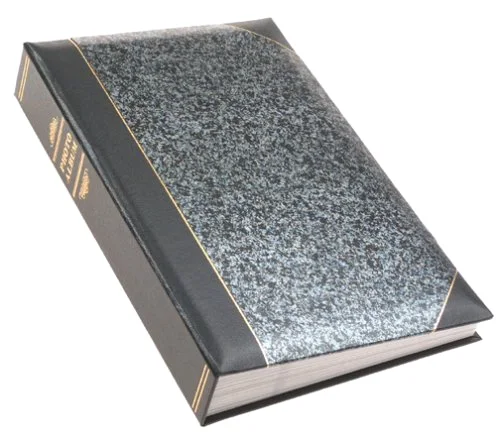 Ledger Bi-Directional Le Memo Album, 4x6, Clear,Gold,Silver, 300 prints