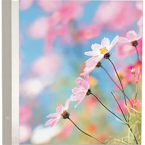 Refill Pages for the PMV-206 Post Bound Magnetic Album, Six Packs of 5 Sheets, 30 Sheets Total, photo 2
